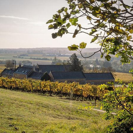 Domaine Beausejour Bed & Breakfast Panzoult Eksteriør bilde