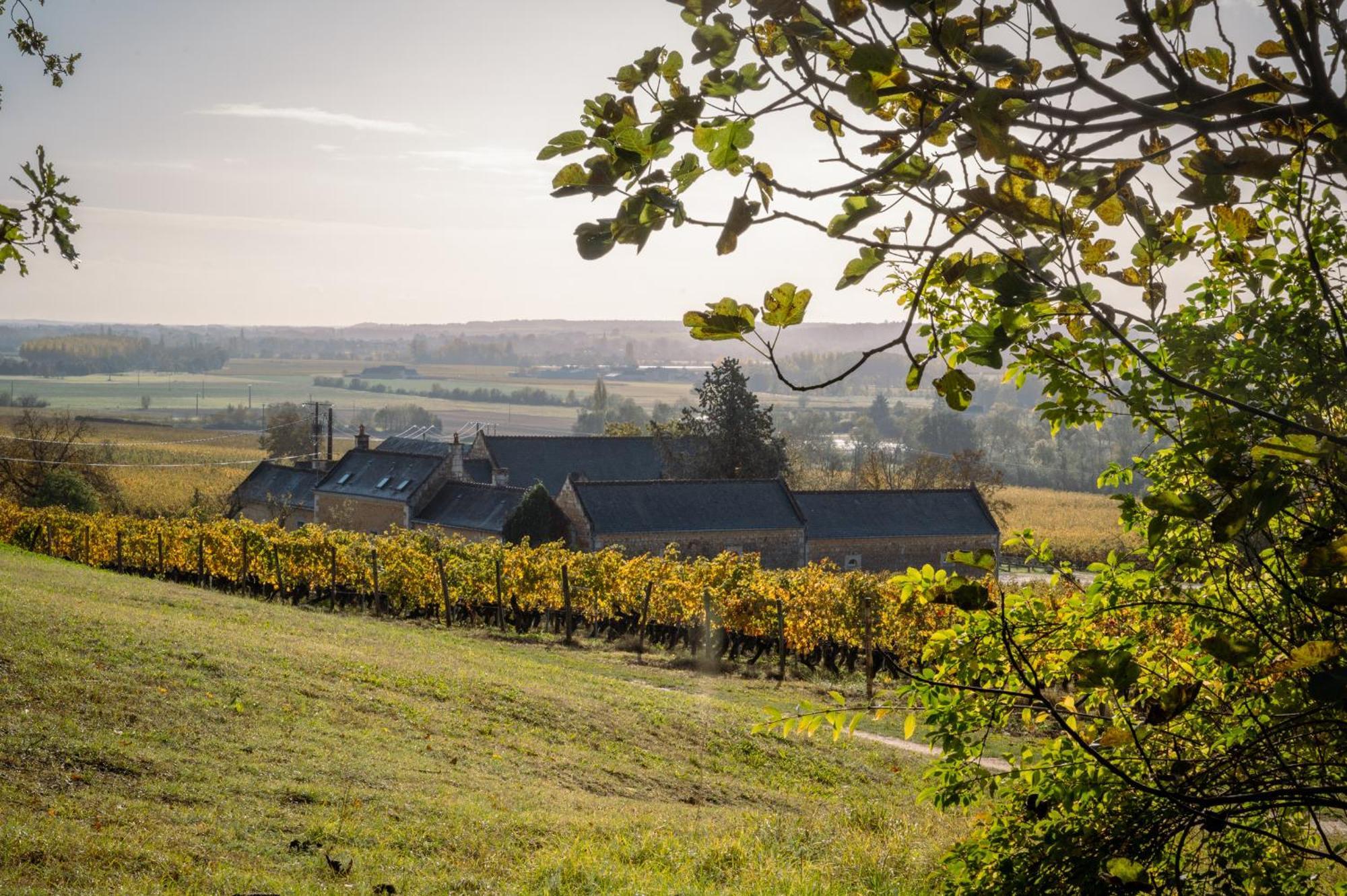 Domaine Beausejour Bed & Breakfast Panzoult Eksteriør bilde