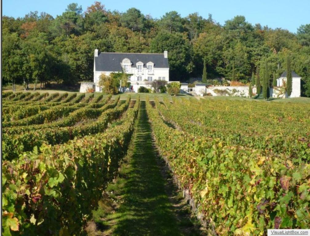 Domaine Beausejour Bed & Breakfast Panzoult Eksteriør bilde